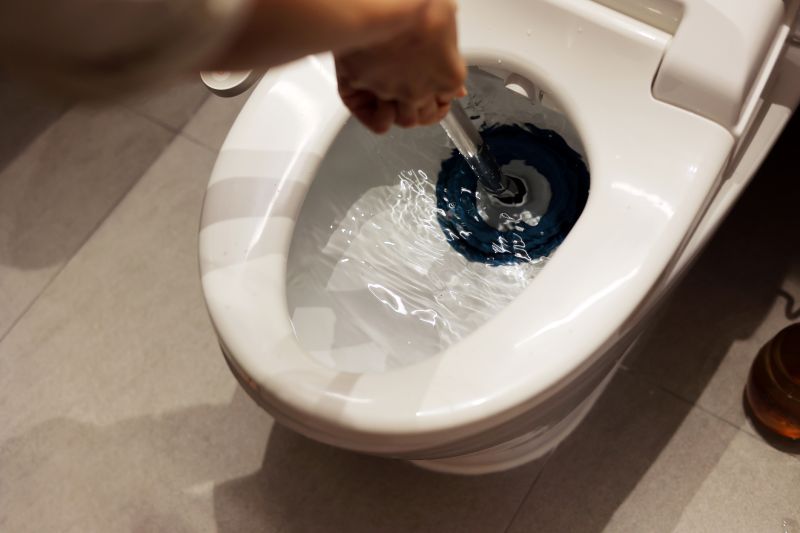 Overflowing Toilet Repair in Denver, CO
